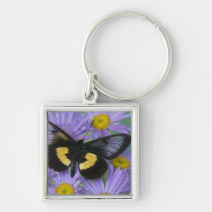 Sammamish Washington Photograph of Butterfly Key Ring