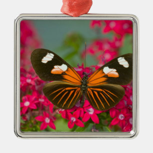 Sammamish Washington Photograph of Butterfly on 14 Metal Ornament