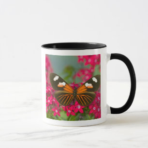 Sammamish Washington Photograph of Butterfly on 14 Mug