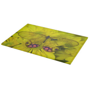 Sammamish Washington Photograph of Butterfly on 8 Cutting Board