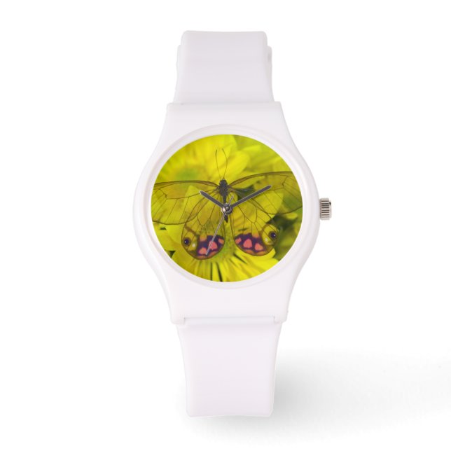 Sammamish Washington Photograph of Butterfly on 8 Watch (Front)