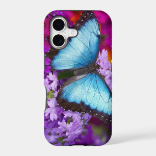 Sammamish Washington Tropical Butterfly