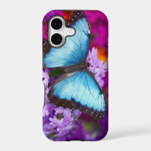 Sammamish Washington Tropical Butterfly