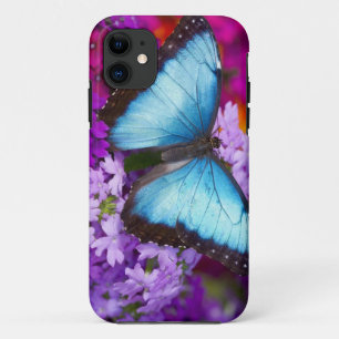 Sammamish Washington Tropical Butterfly iPhone 11 Case