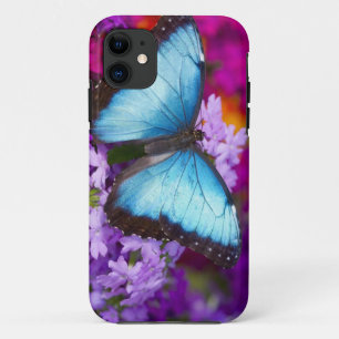 Sammamish Washington Tropical Butterfly iPhone 11 Case