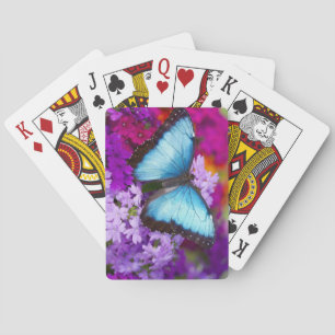 Sammamish Washington Tropical Butterfly Playing Cards