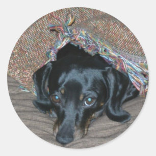 Sammi under weather classic round sticker