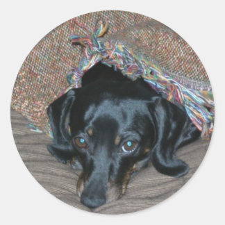 Sammi under weather classic round sticker