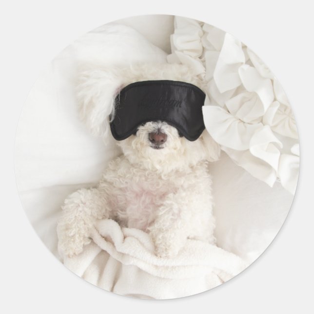 Sammy boy classic round sticker (Front)