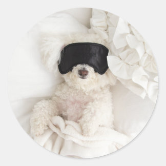 Sammy boy classic round sticker