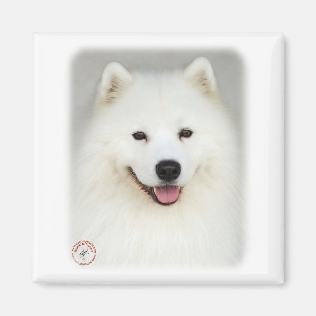 Samoyed 9Y566D-019 Magnet (Front)