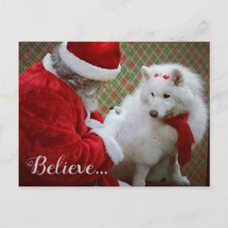 Samoyed and Santa Christmas Postcard
