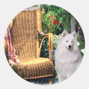 Samoyed Art Gifts Classic Round Sticker