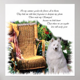 Samoyed Art Print