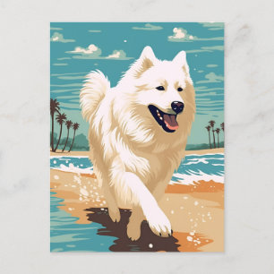 Samoyed at the beach postcard