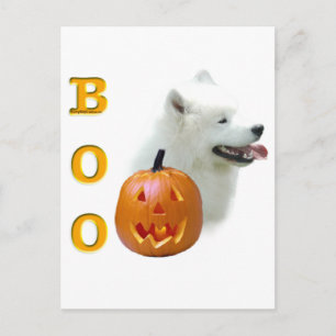 Samoyed Boo Postcard