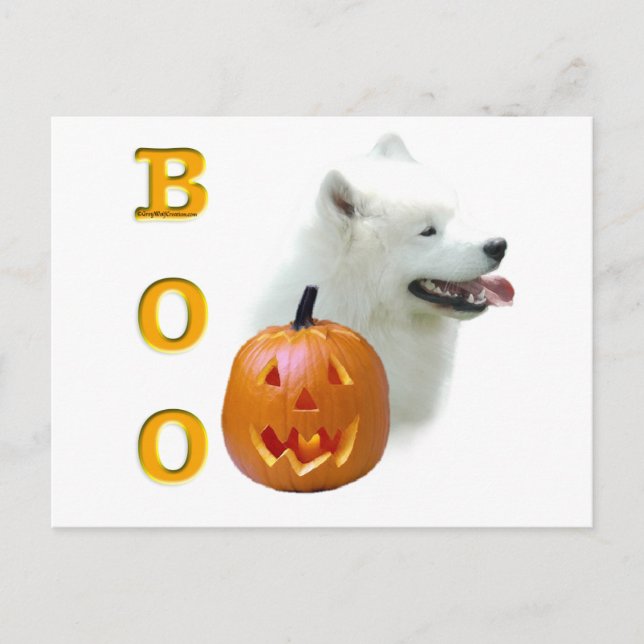 Samoyed Boo Postcard (Front)