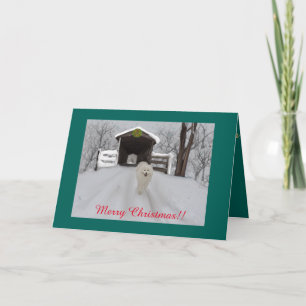 Samoyed Christmas Greeting Card, 7" X 5" Holiday Card