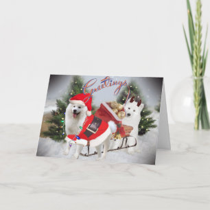 Samoyed Christmas Greetings Cards