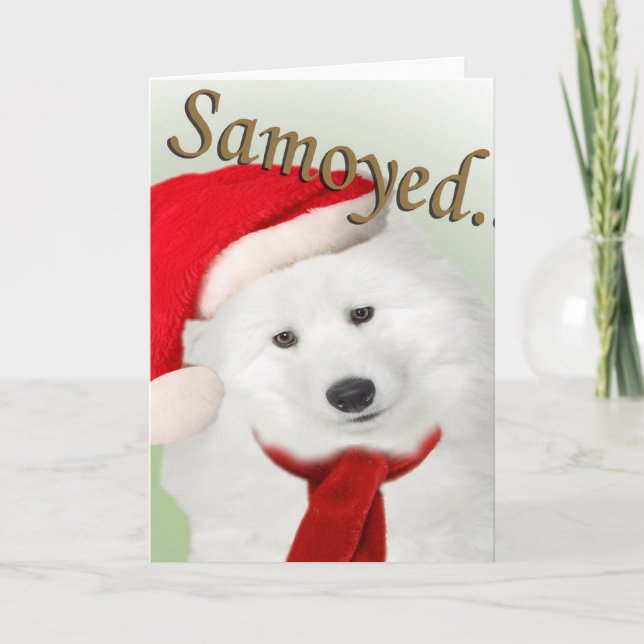Samoyed Christmas Portrait Card (Front)