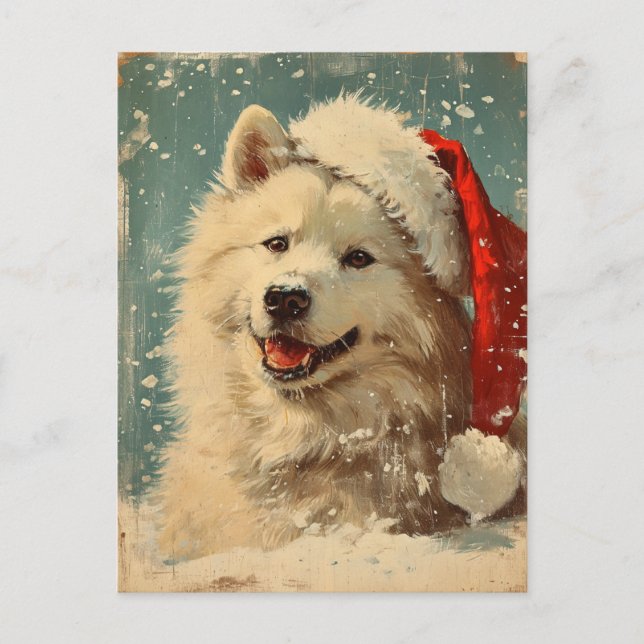 Samoyed christmas  postcard (Front)