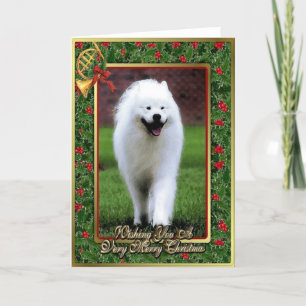 Samoyed Dog Blank Christmas Card