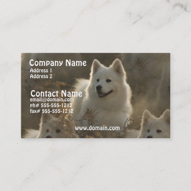 Samoyed Dog Breed Business Card (Front)