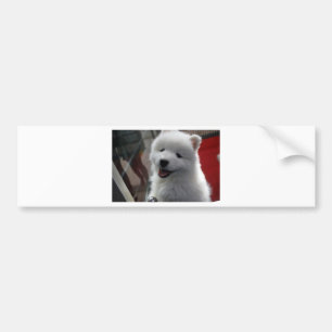 Samoyed Dog Bumper Sticker