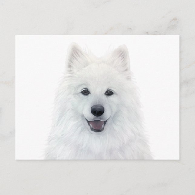 Samoyed dog by miart original painting postcard (Front)