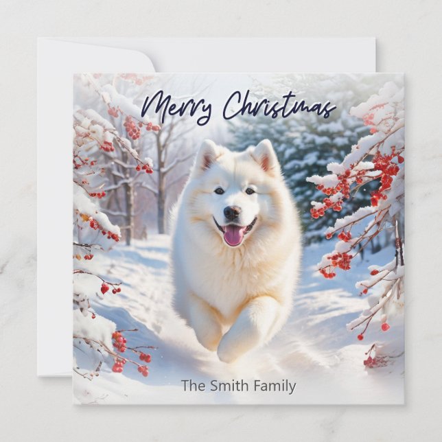 Samoyed Dog In Snow Merry Christmas Holiday Card (Front)