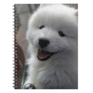 Samoyed Dog Notebook