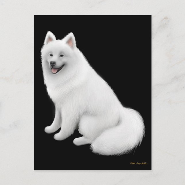 Samoyed Dog Postcard (Front)