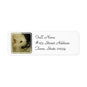 Samoyed Dog Return Address Label