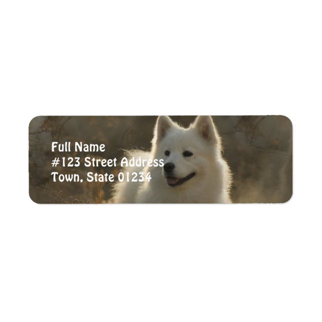 Samoyed Dog Return Address Label (Front)