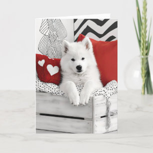 Samoyed Dog Valentine Card