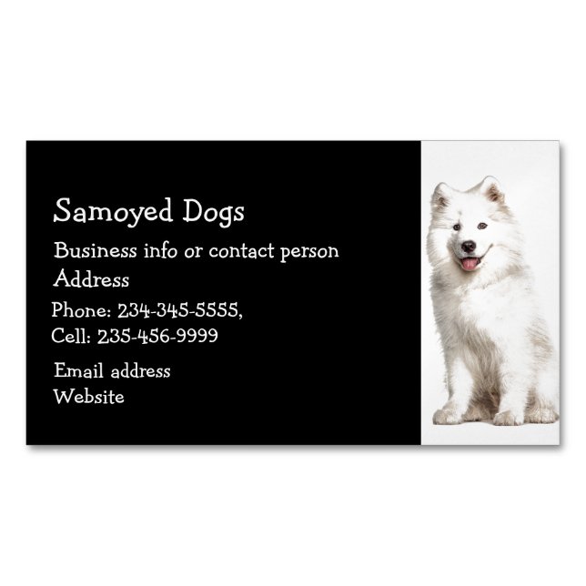 Samoyed Dogs Breeder Pet Sitter   Business Card (Front)