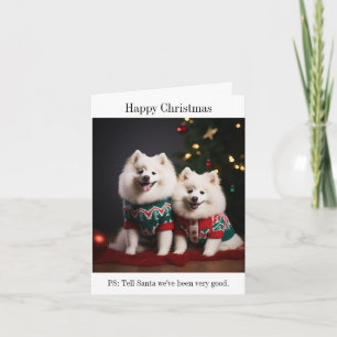 Samoyed Dogs Happy Christmas Card