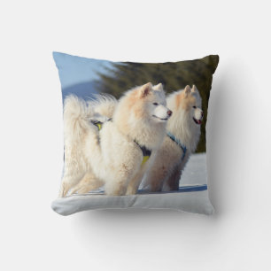 Samoyed Dogs in the Snow Cushion