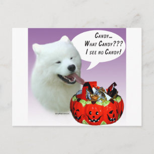 Samoyed Halloween Candy Postcard
