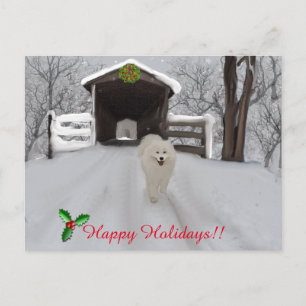 Samoyed "Happy Holidays" Post Card