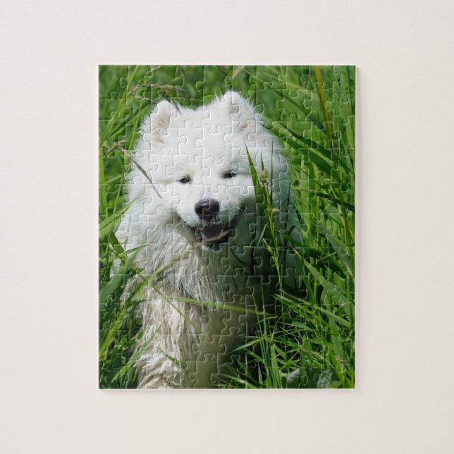 Samoyed In Grass Puzzle (Vertical)