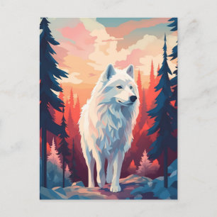 Samoyed in the forest during sunset postcard