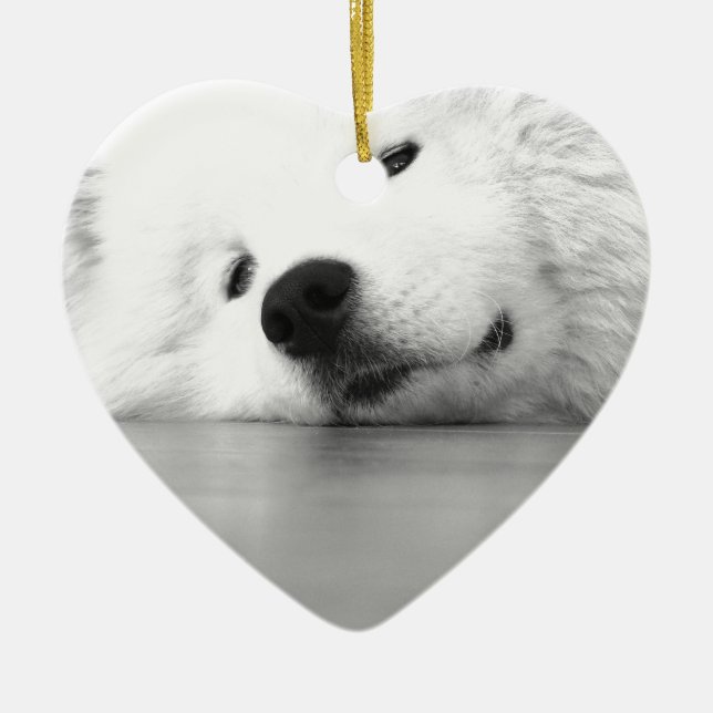 Samoyed Photo Dog White Ceramic Ornament (Front)