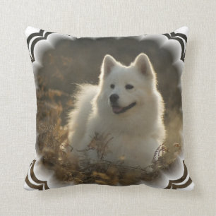 Samoyed Pillow