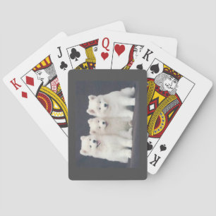 Samoyed Playing Cards