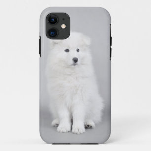 Samoyed puppy iPhone 11 case