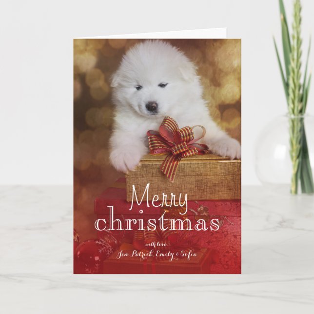 Samoyed Puppy Dog With Christmas Gifts Holiday Card (Front)