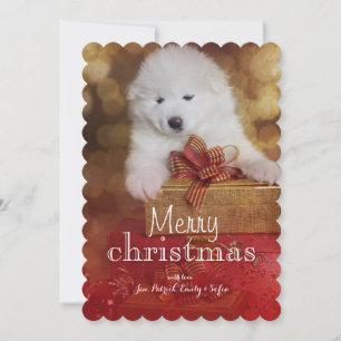 Samoyed Puppy Dog With Christmas Gifts Holiday Card