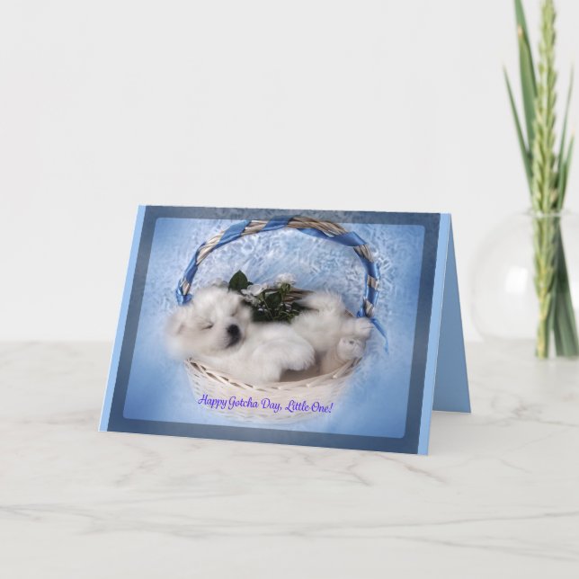 Samoyed Puppy Greeting Card: "Gotcha"Day Celebrate Card (Front)