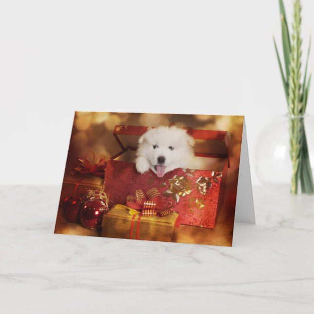Samoyed Puppy In A Christmas Box Holiday Card (Front)